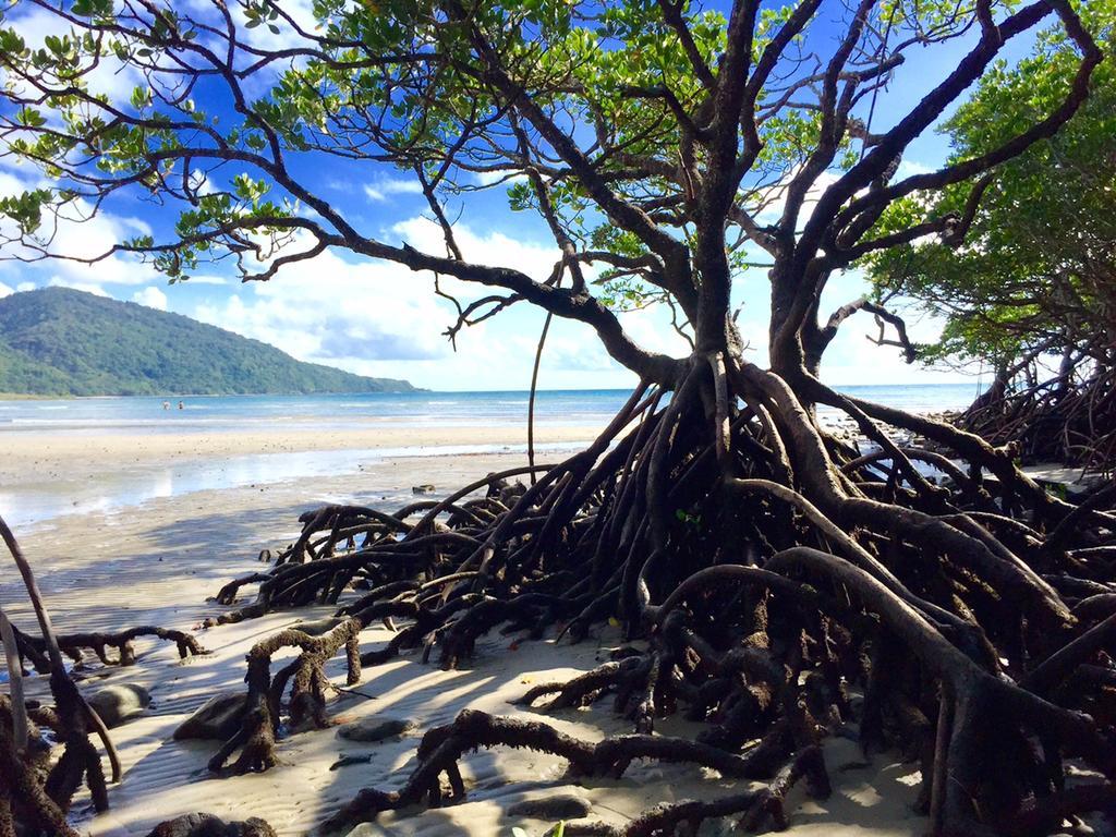 Cape Tribulation Holiday House 외부 사진