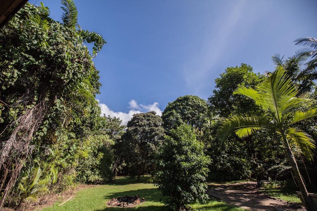 Cape Tribulation Holiday House 외부 사진