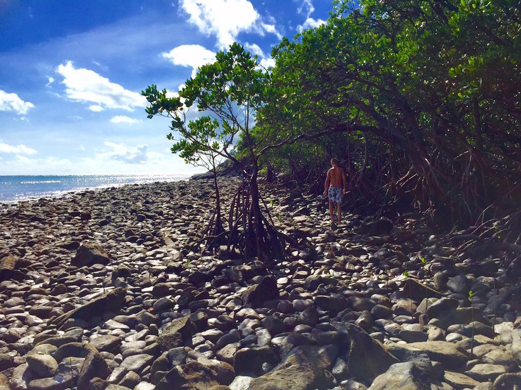Cape Tribulation Holiday House 외부 사진