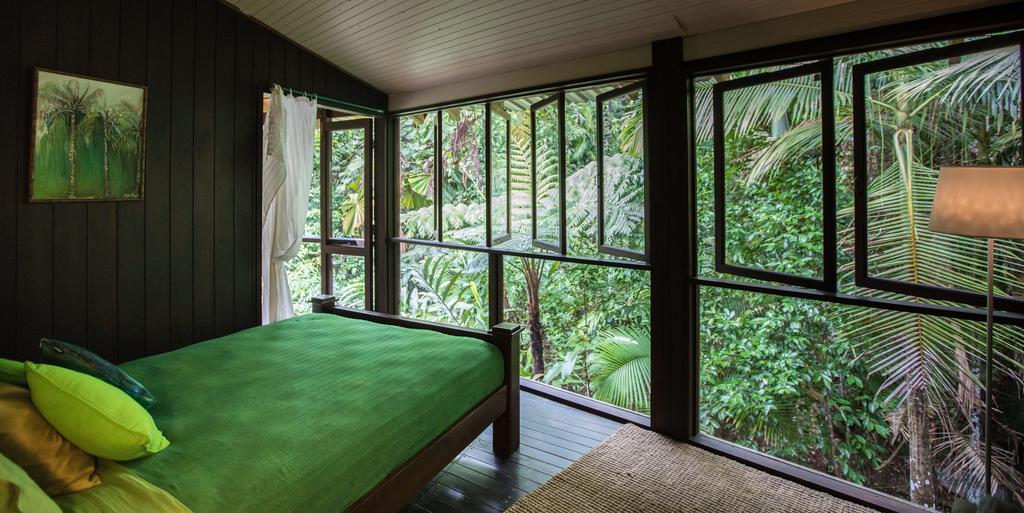 Cape Tribulation Holiday House 외부 사진