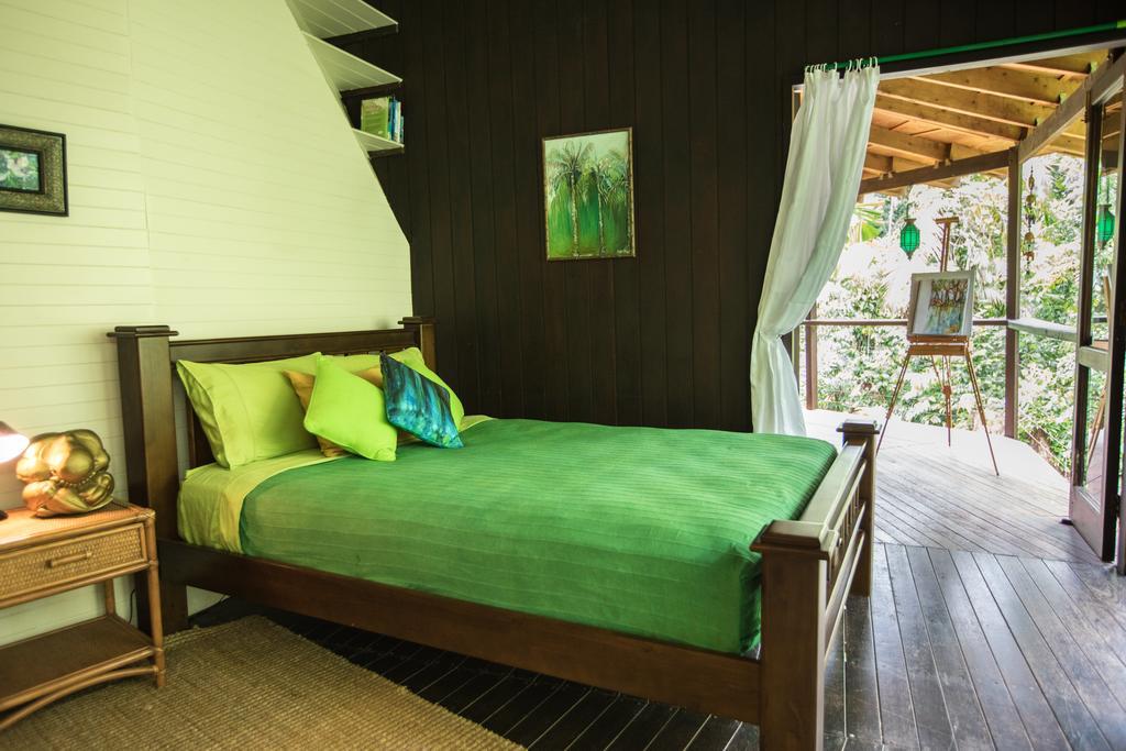 Cape Tribulation Holiday House 외부 사진