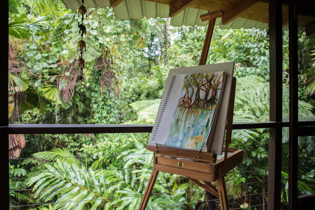 Cape Tribulation Holiday House 외부 사진