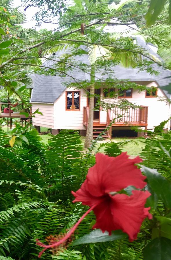 Cape Tribulation Holiday House 외부 사진